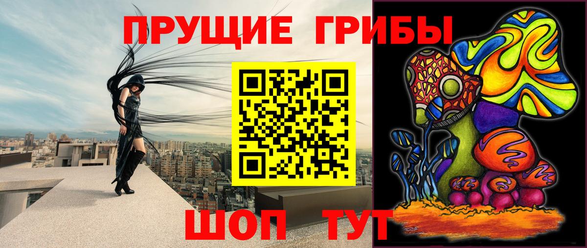 Красноармейск  Галлюциногенные грибы прущие грибы  Псилоцибиновые грибы Cubensis  Вход с VPN 